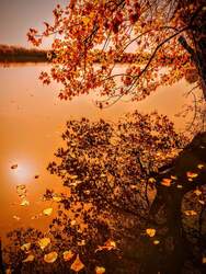 albertlaszlo76 fotója