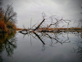 albertlaszlo76 fotója