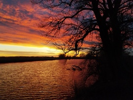 albertlaszlo76 fotója