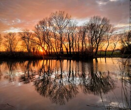 albertlaszlo76 fotója