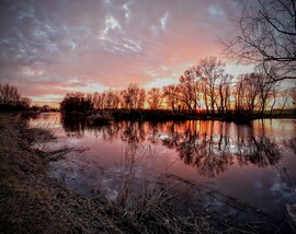 albertlaszlo76 fotója