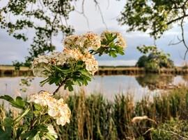 albertlaszlo76 fotója