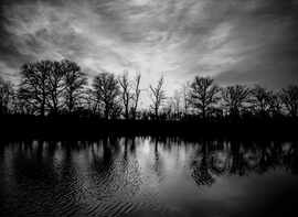 albertlaszlo76 fotója