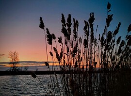 albertlaszlo76 fotója