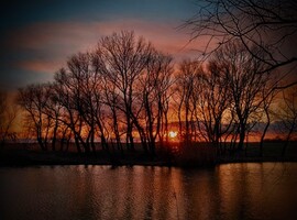 albertlaszlo76 fotója