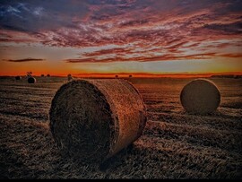 albertlaszlo76 fotója