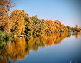 albertlaszlo76 fotója