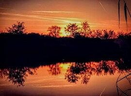 albertlaszlo76 fotója