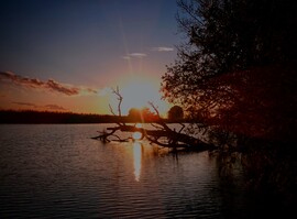 albertlaszlo76 fotója