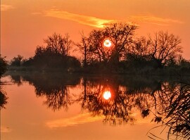 albertlaszlo76 fotója