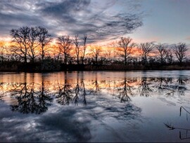 albertlaszlo76 fotója