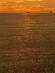 alexandra0531 fotója