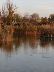 alexandra0531 fotója