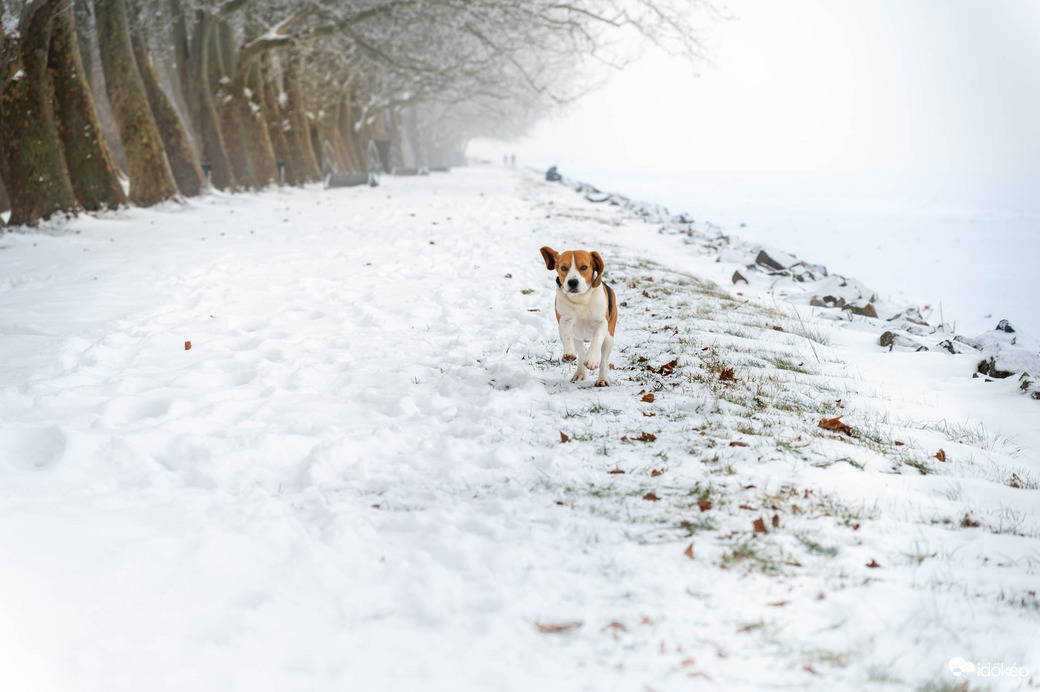 Ilyen is volt idén a Balaton