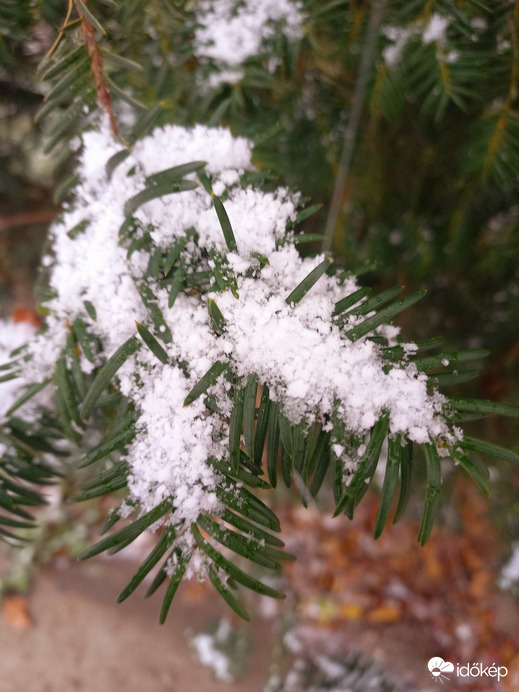 December