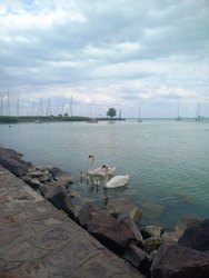 Balaton