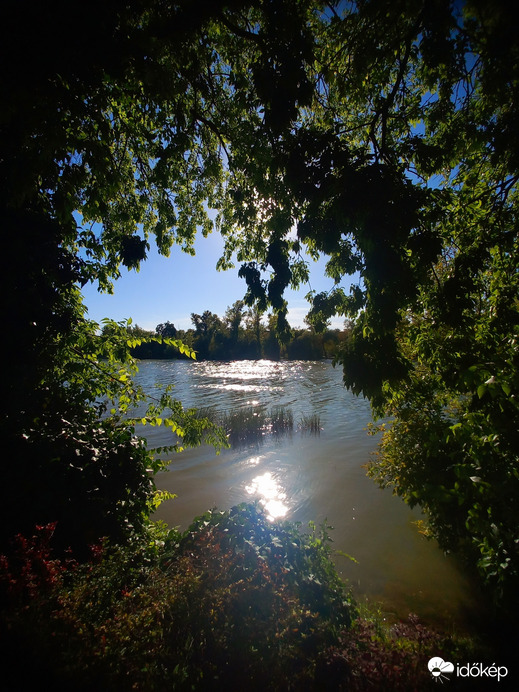 Délutáni napsugarak