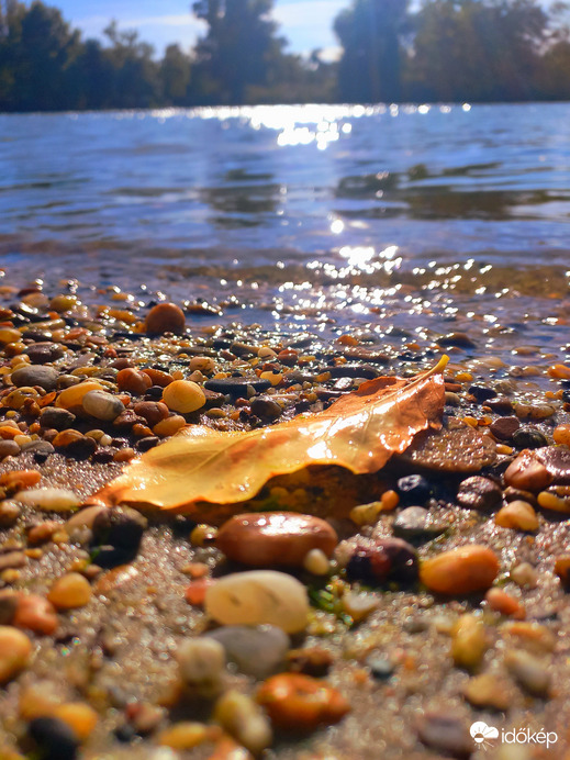 Délutáni napsugarak