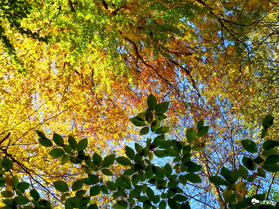 A természet festménye