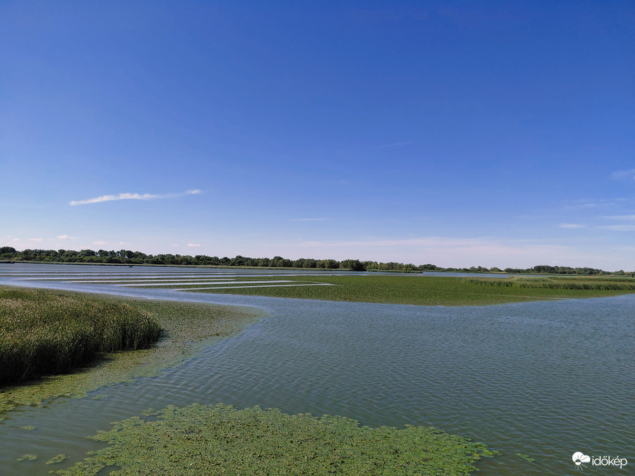 Tisza-tó