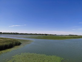 Tisza-tó