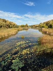 Kánya-vár