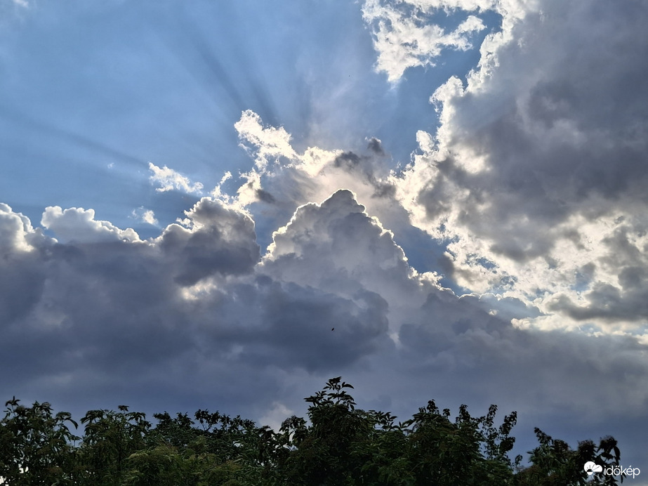 Úri