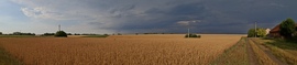 Vihar után 