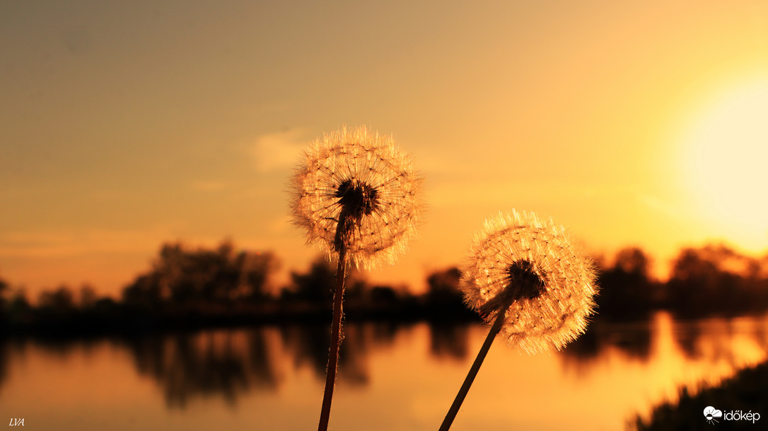 Püspökladány 5-horgásztó