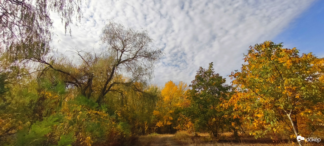 Püspökladány Arborétum 