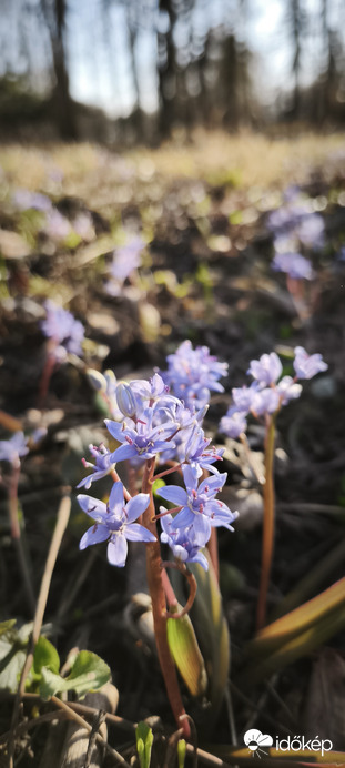 Itt a tavasz vár a természet! 