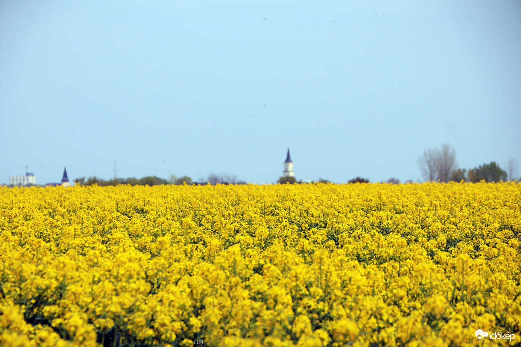 Repce mező közepén állok! 