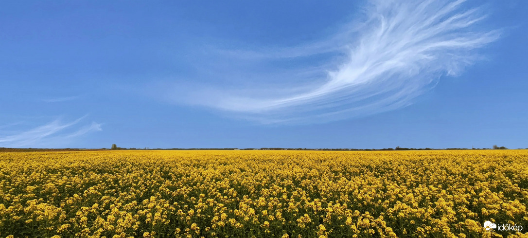 Repcemező közepén állok! 