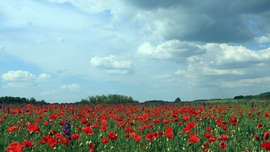 Püspökladány