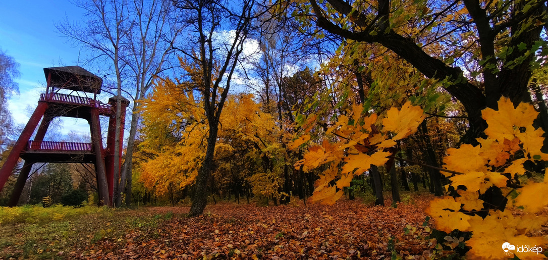 Püspökladány Arborétum! 