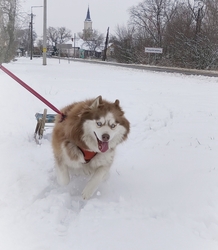 Futás a hóban! 