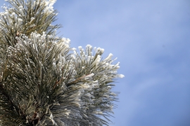 Kék zöld fehér összhang! 