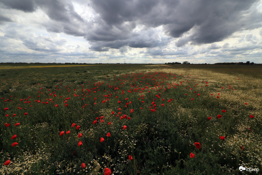 Közeledik az eső!!