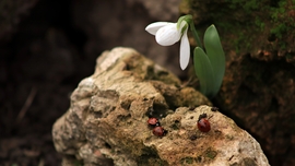 Itt a tavasz előbújtunk mi is! 