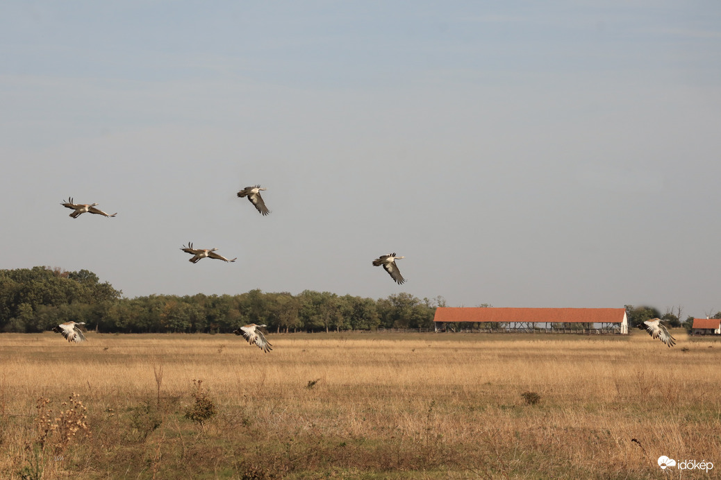 Püspökladány