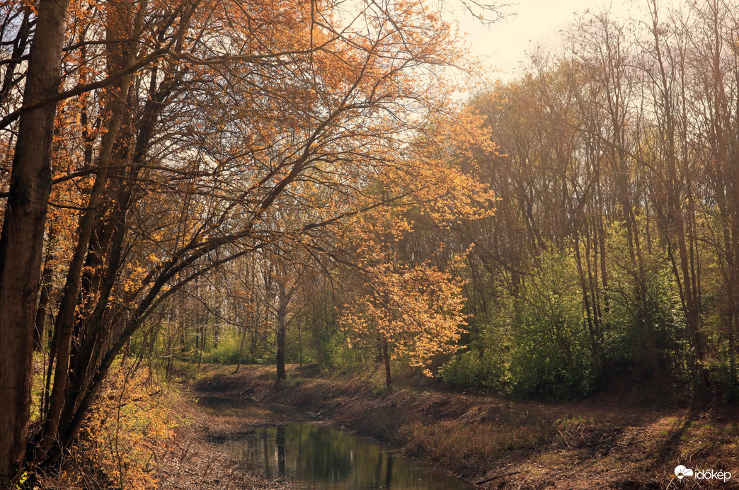Püspökladány Farkassziget