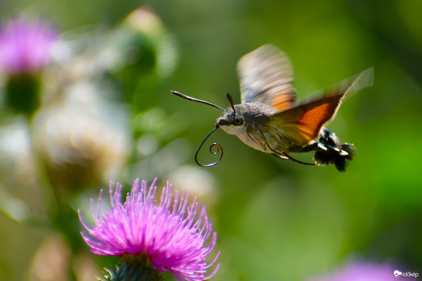 Két pillanat között :))
