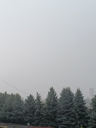 Balatonfenyves