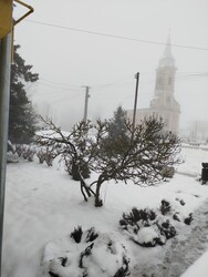 Királyegyháza