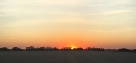  NAPKELTE