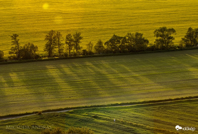 Magányosan, a földúton merengve.