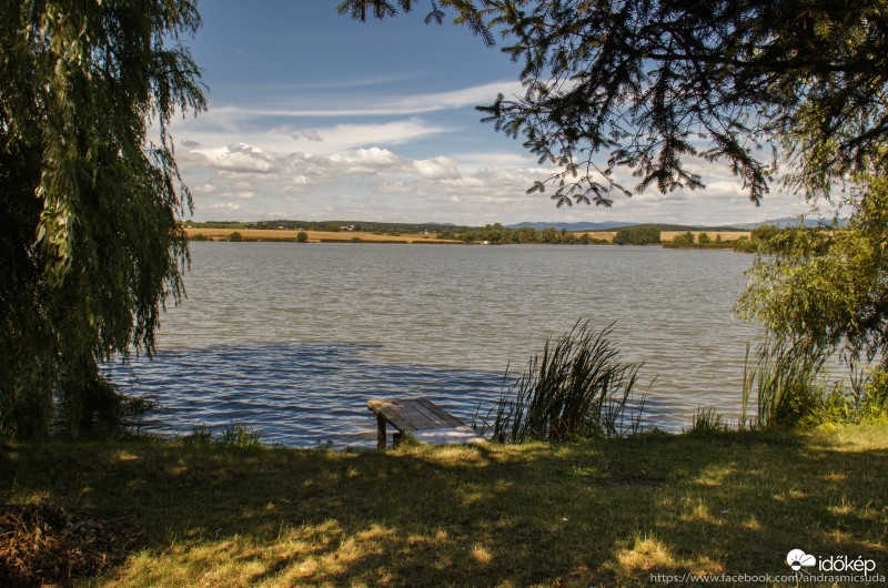 Csendélet