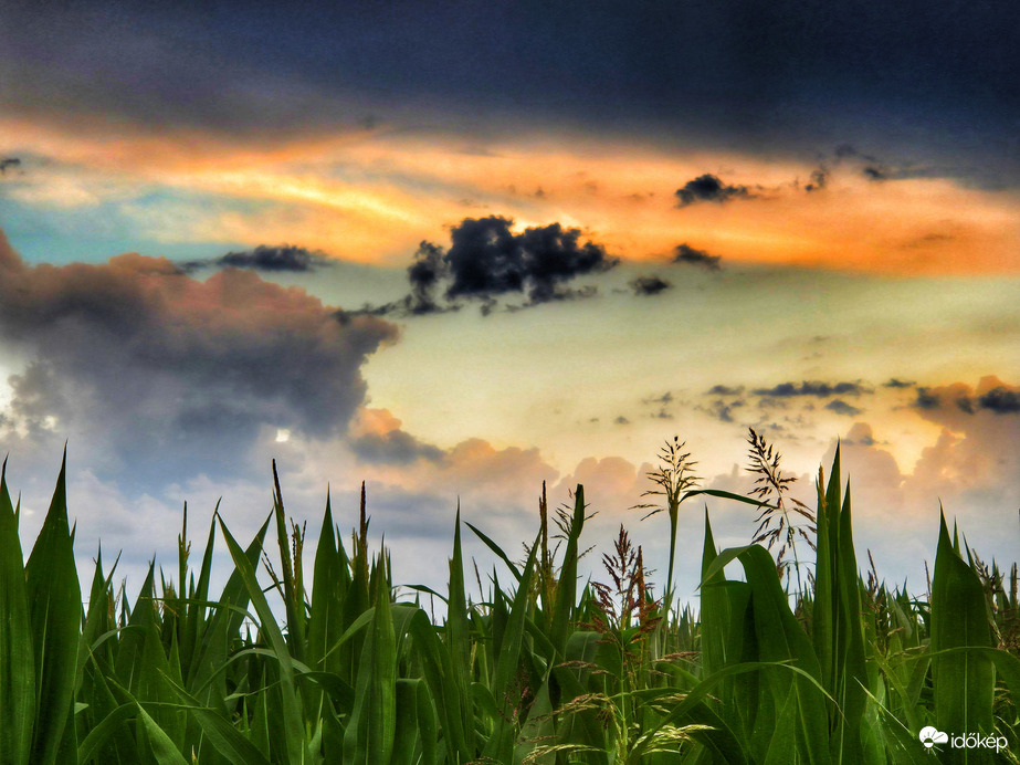 Nyári zivataros naplemente