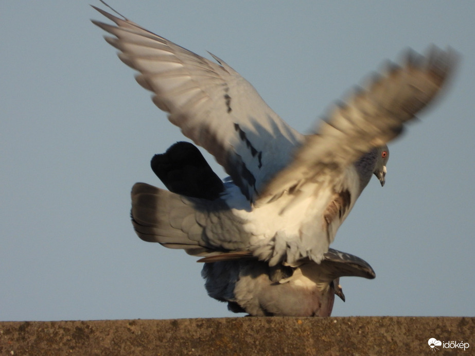 Szerelem van a levegőben