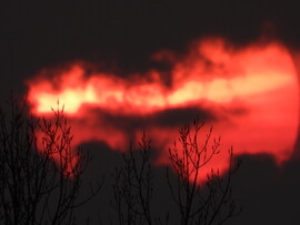 Sziluett és lelenő nap 
